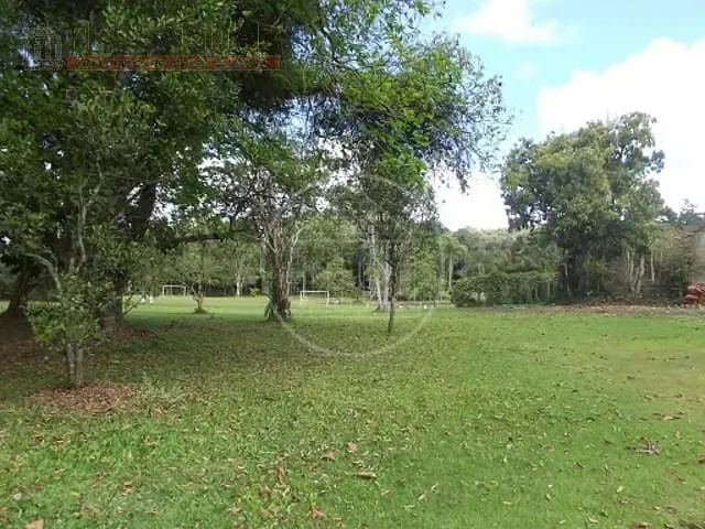 Terreno, 4 hectares - Foto 11