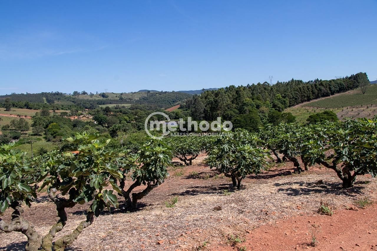 Terreno, 6 hectares - Foto 10