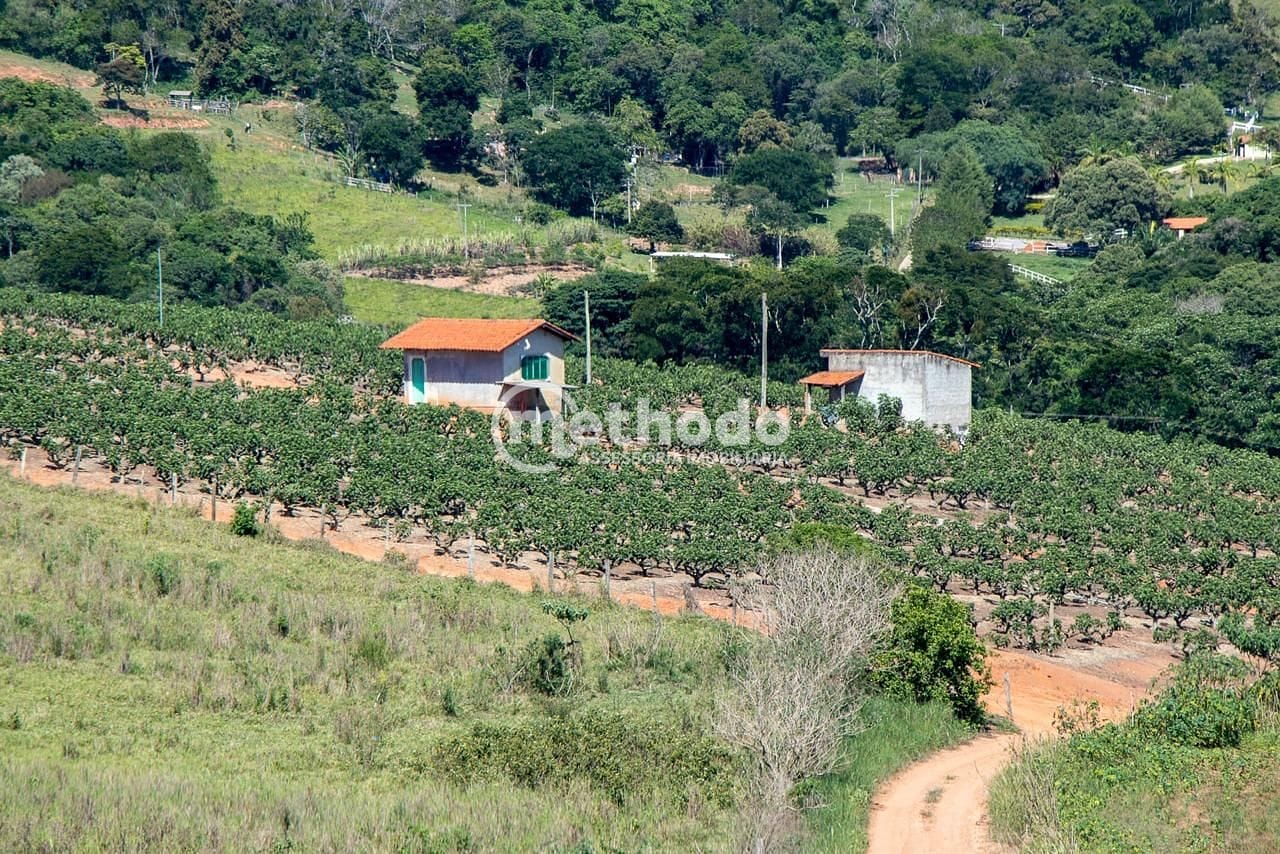 Terreno, 6 hectares - Foto 5