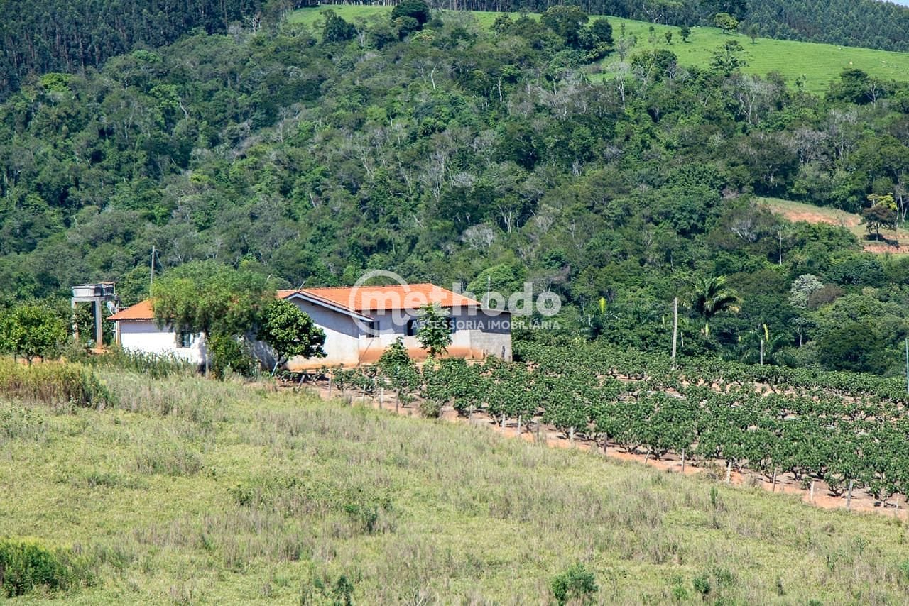 Terreno, 6 hectares - Foto 13