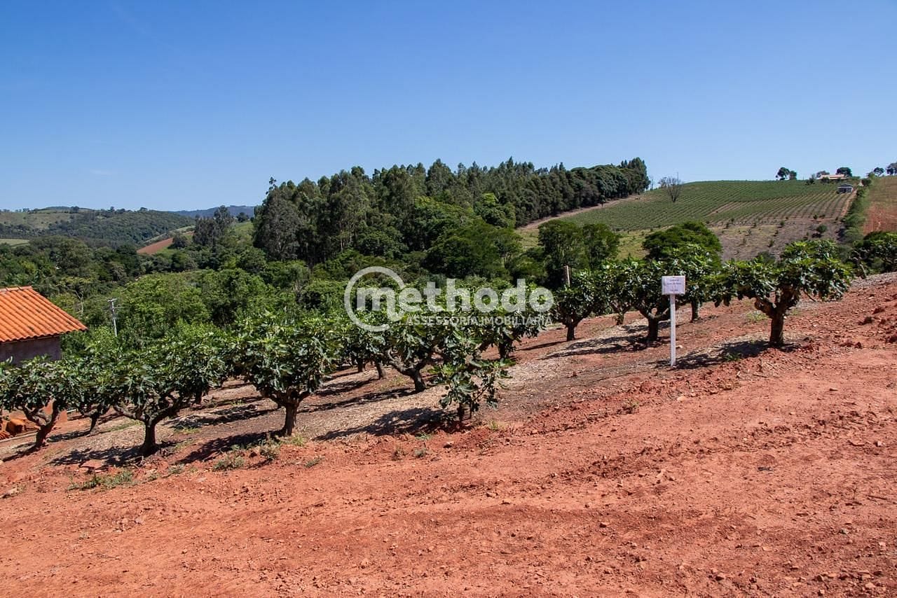 Terreno, 6 hectares - Foto 9