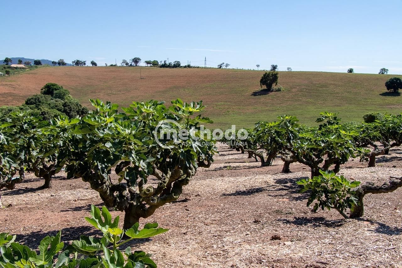 Terreno, 6 hectares - Foto 22