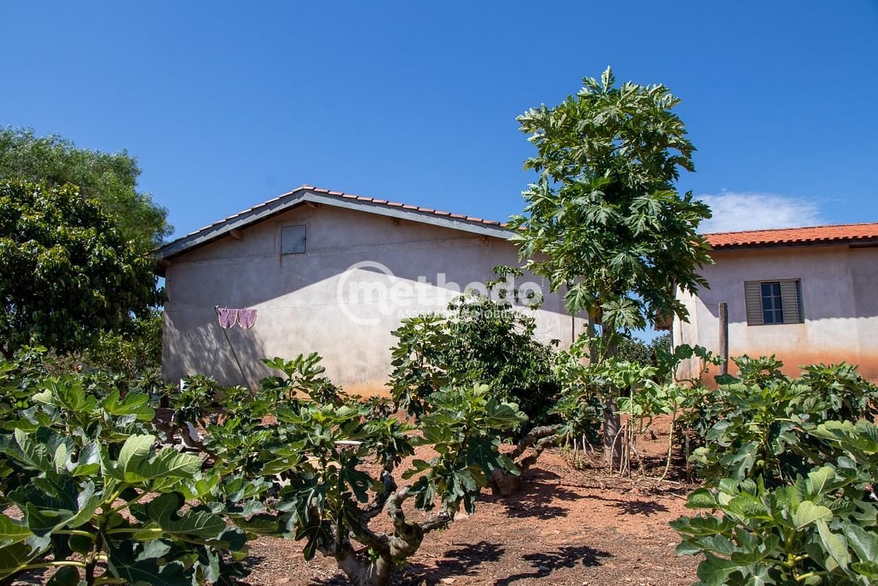 Terreno, 6 hectares - Foto 17