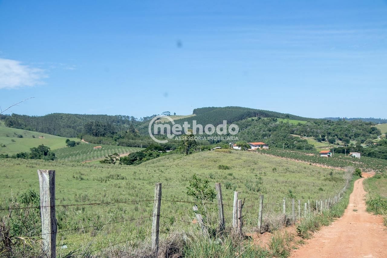 Terreno, 6 hectares - Foto 21