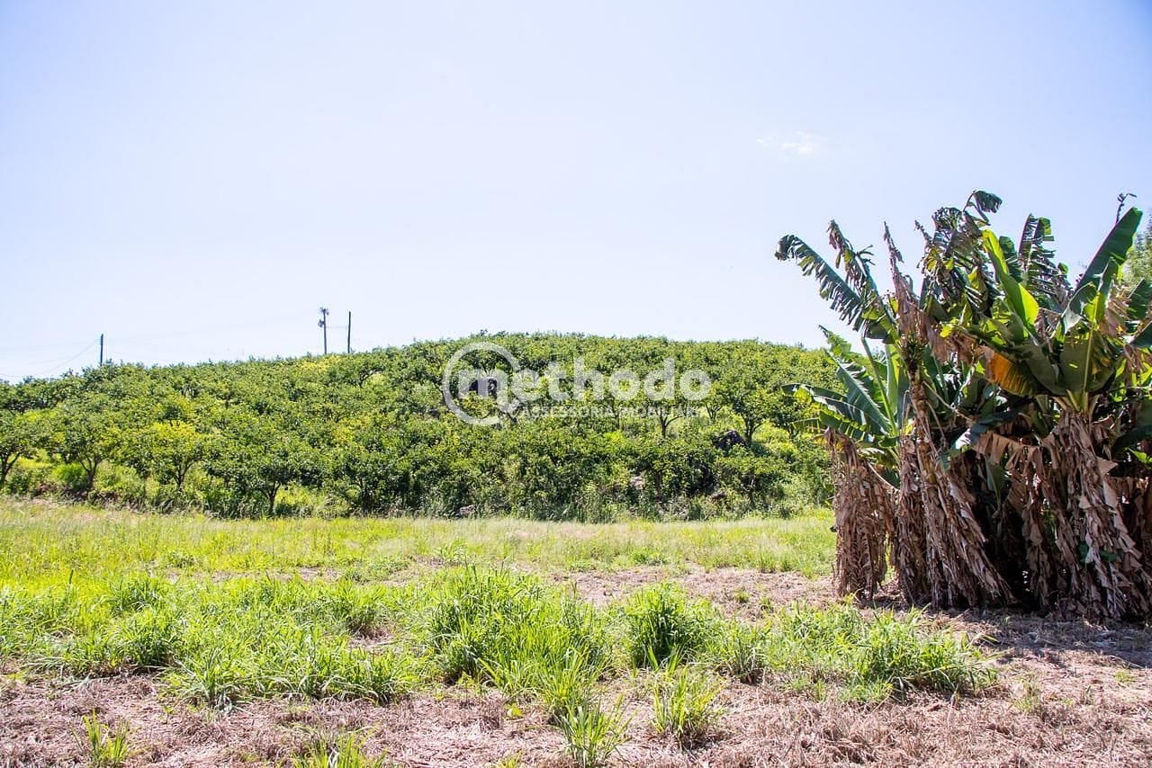 Terreno, 6 hectares - Foto 19
