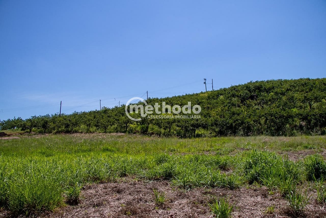 Terreno, 6 hectares - Foto 11