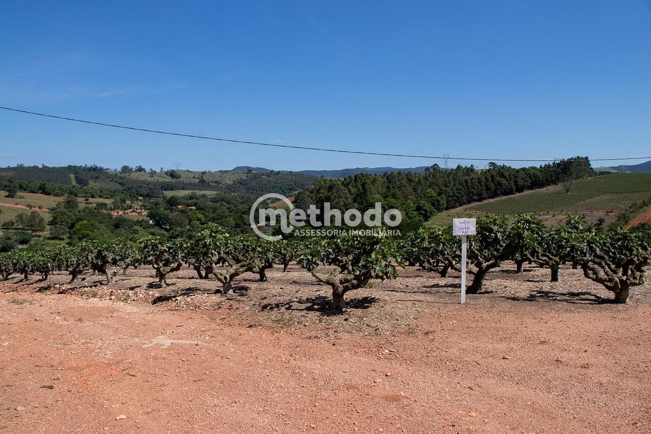 Terreno, 6 hectares - Foto 23