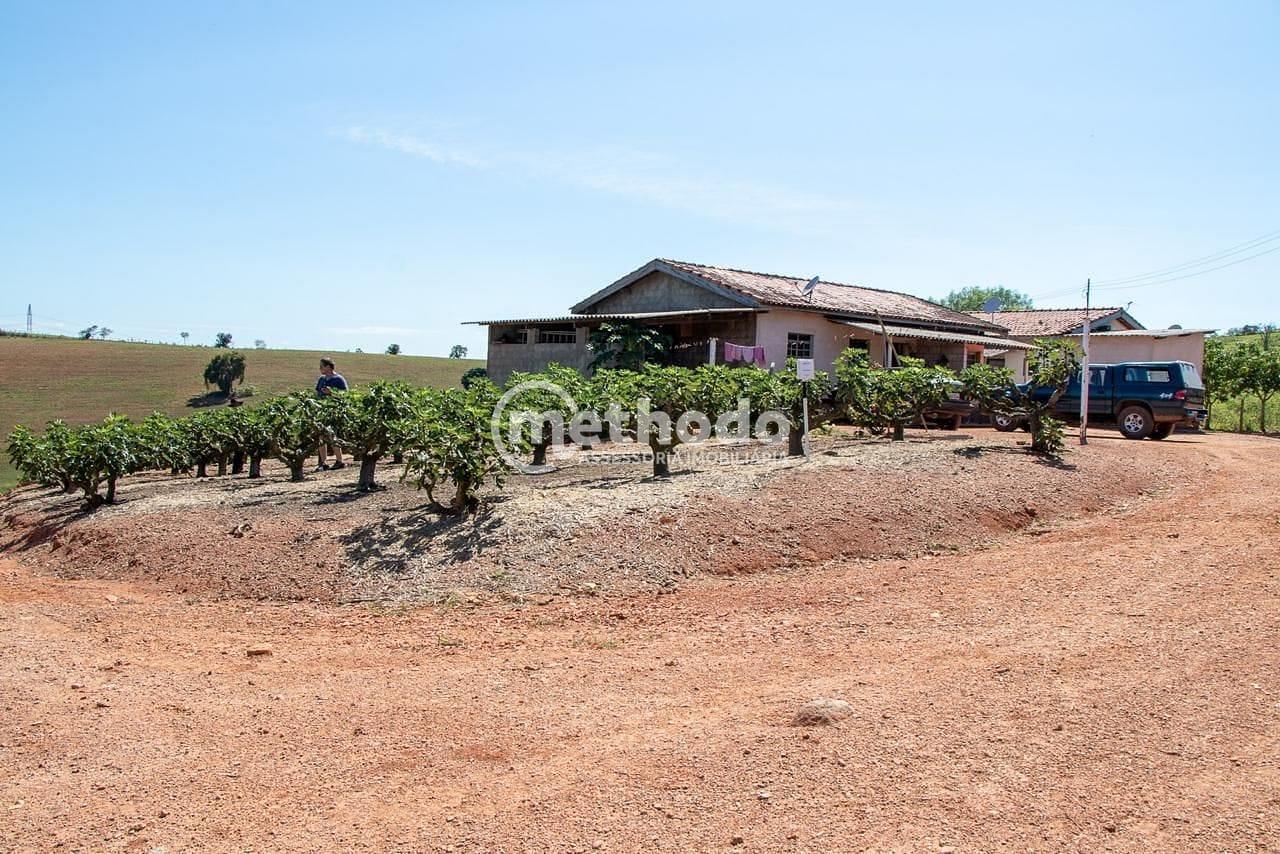 Terreno, 6 hectares - Foto 20