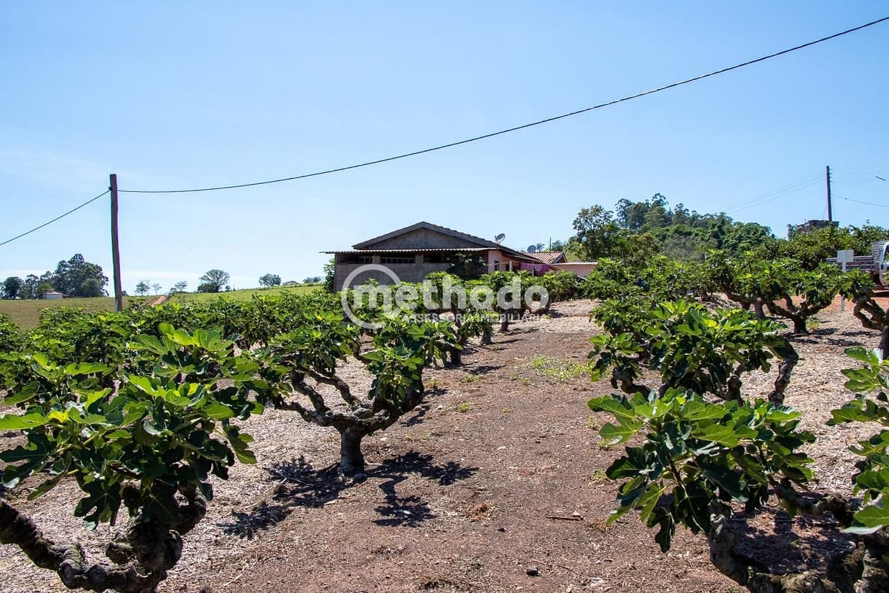 Terreno, 6 hectares - Foto 7