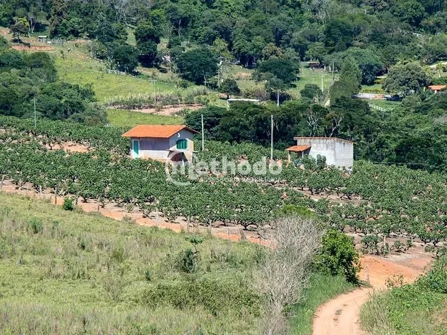 Terreno com 56785m², à venda, no bairro Zona Rural em Morungaba