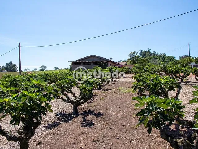 Terreno com 56785m², à venda, no bairro Zona Rural em Morungaba