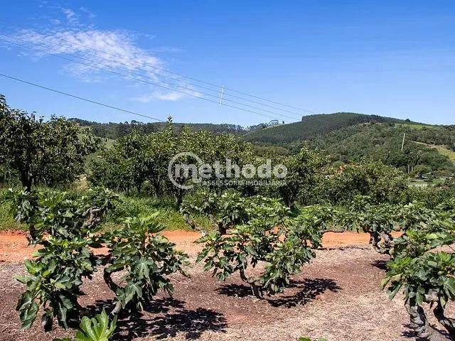 Terreno com 56785m², à venda, no bairro Zona Rural em Morungaba