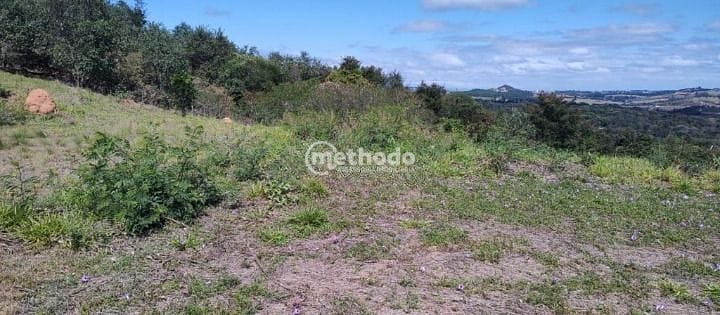 Terreno, 7616 m² - Foto 6