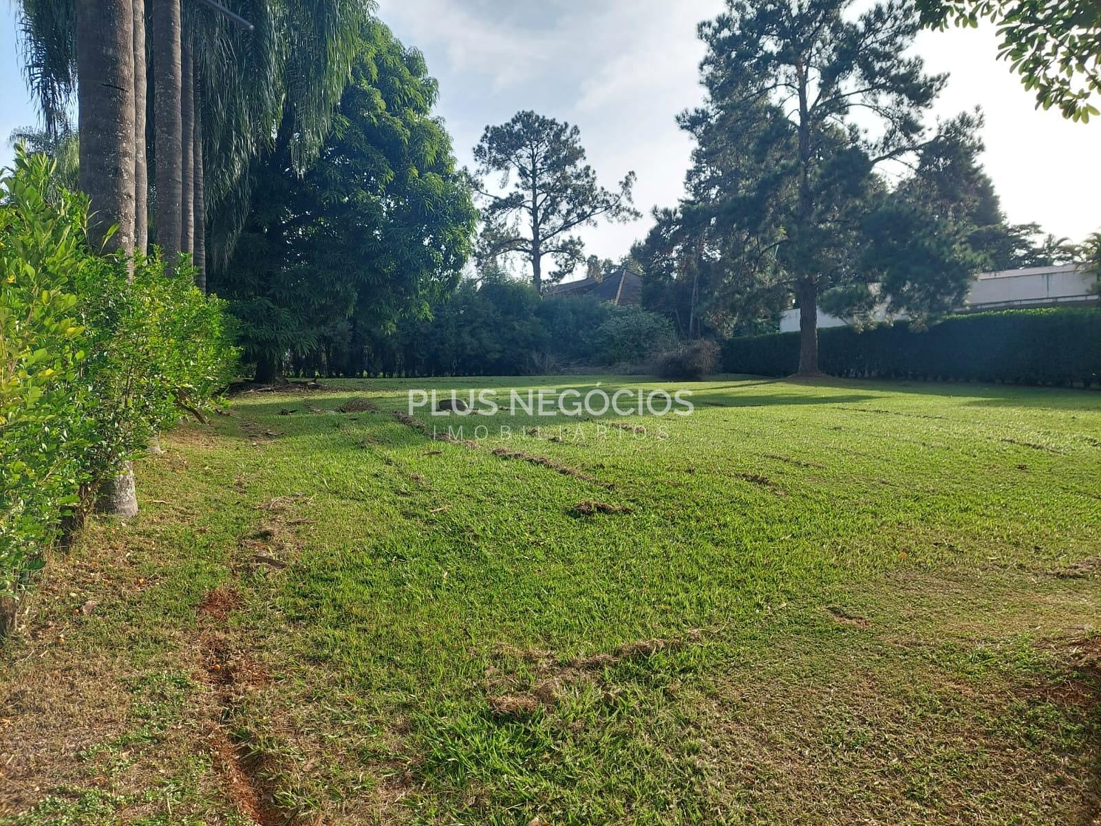 Terreno, 1074 m² - Foto 5