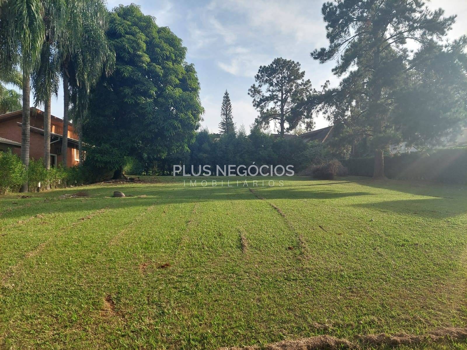 Terreno, 1074 m² - Foto 6