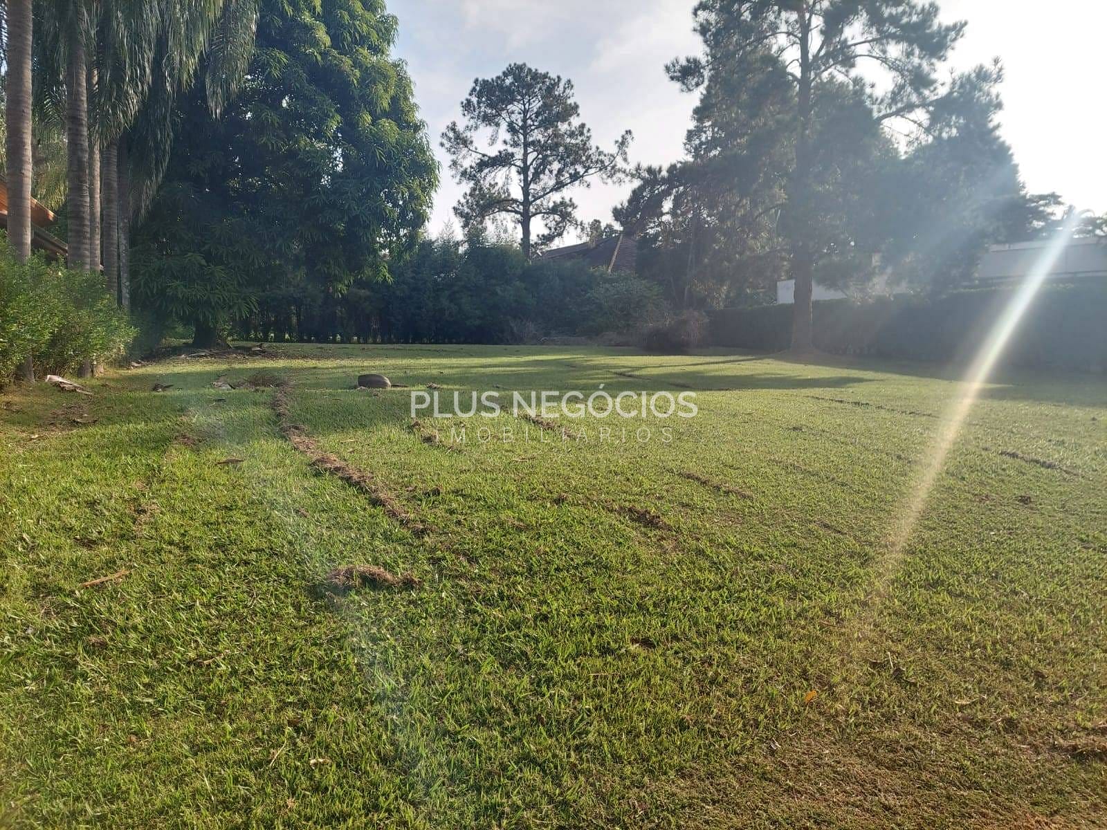 Terreno, 1074 m² - Foto 4