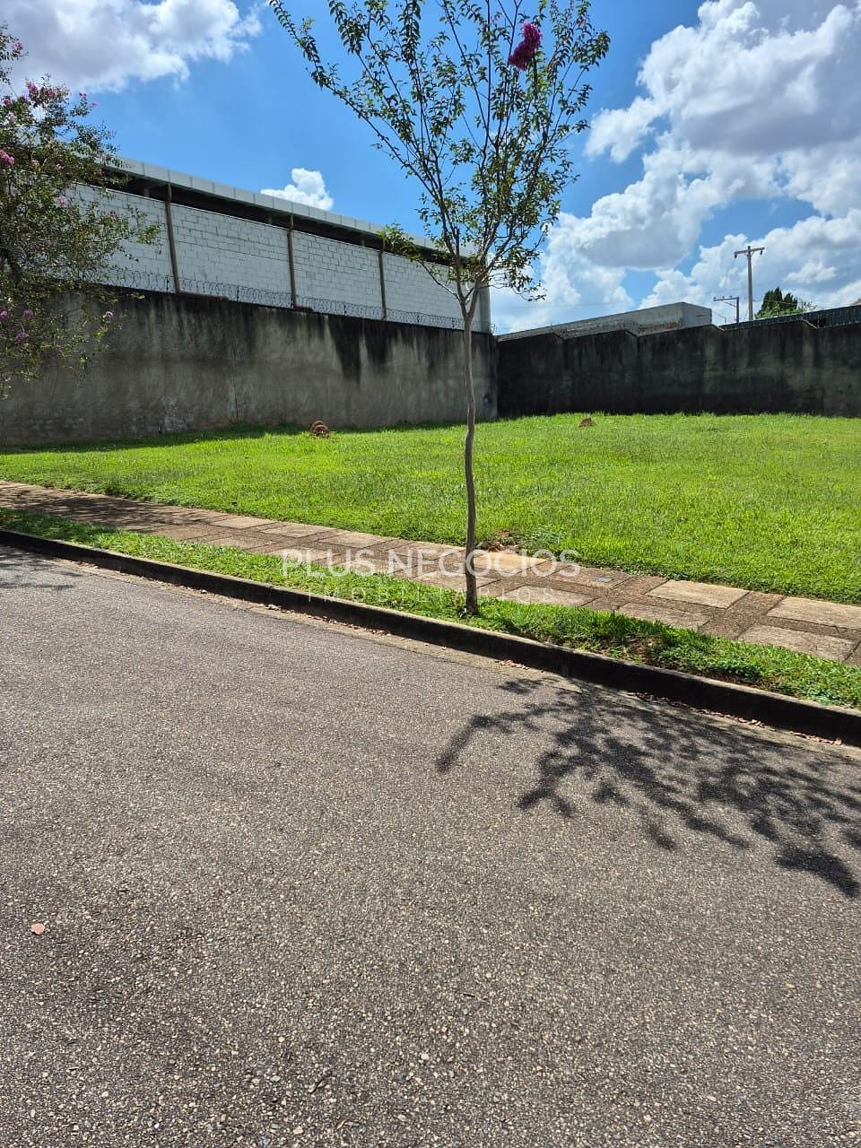 Terreno, 407 m² - Foto 3