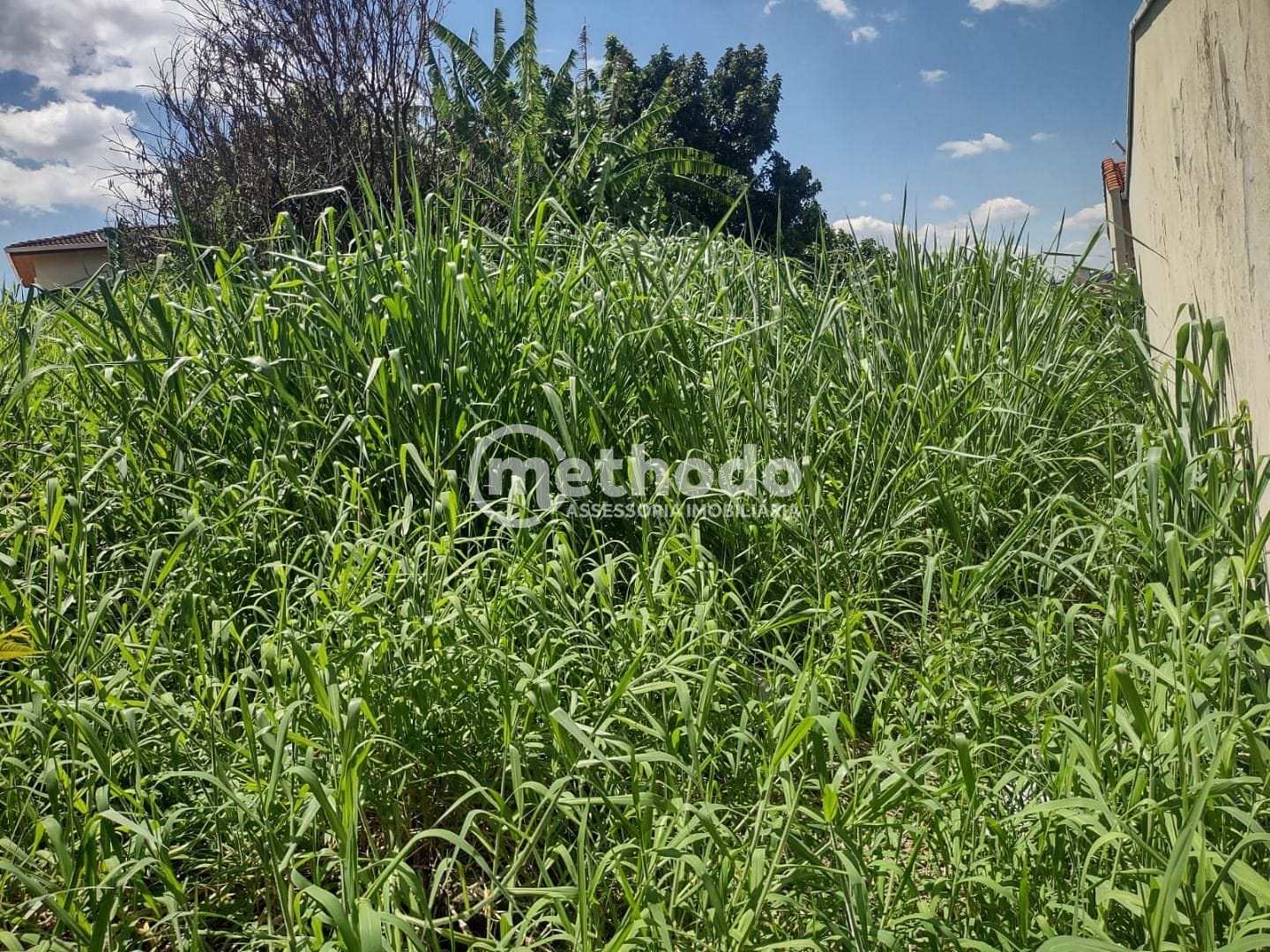 Terreno, 385 m² - Foto 7