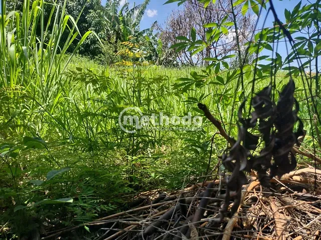 Terreno com 385m², à venda, no bairro Jardim Guarani em Campinas