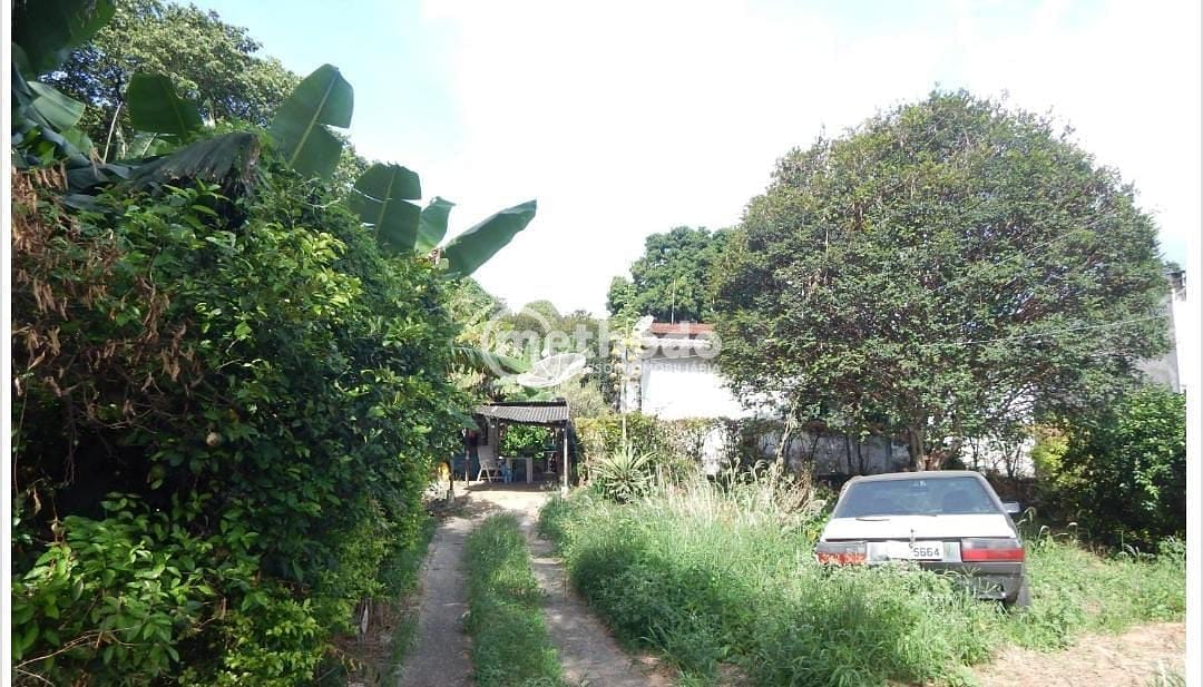 Terreno, 1000 m² - Foto 4