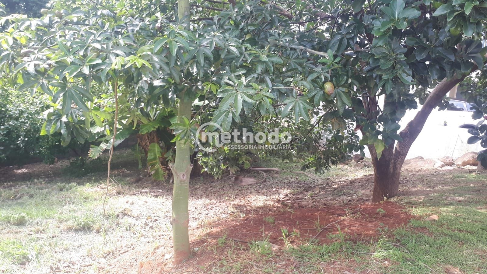 Terreno, 250 m² - Foto 3