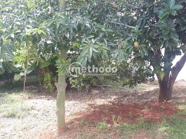 Terreno com 250m², à venda, no bairro Jardim Myrian Moreira da Costa em Campinas