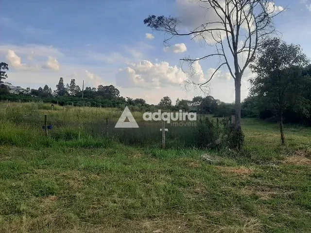 Terreno com 515m², à venda, no bairro Estrela em Ponta Grossa