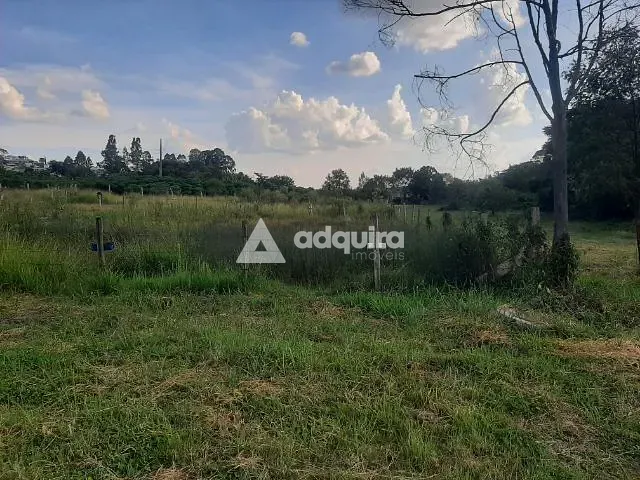 Terreno com 515m², à venda, no bairro Estrela em Ponta Grossa