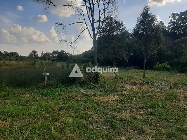 Terreno com 515m², à venda, no bairro Estrela em Ponta Grossa