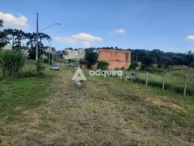Terreno com 515m², à venda, no bairro Estrela em Ponta Grossa