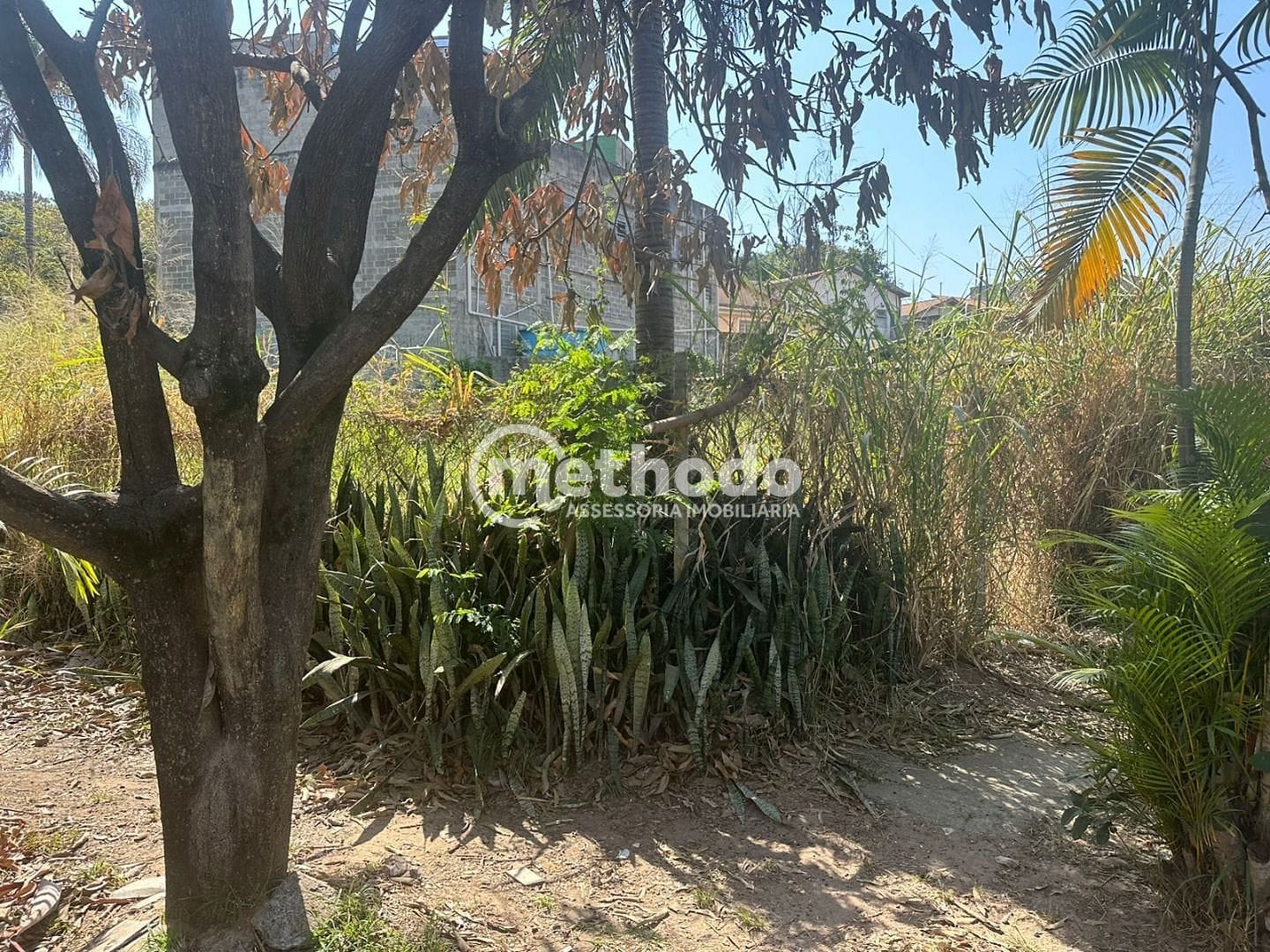 Terreno, 737 m² - Foto 8