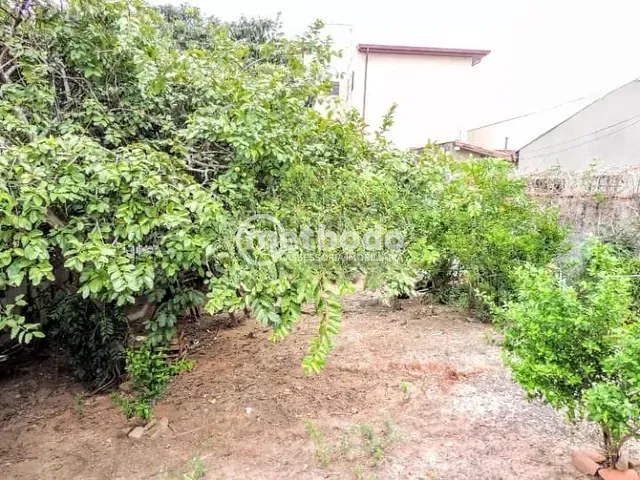 Terreno com 171m², à venda, no bairro Vila Industrial (Campinas) em Campinas