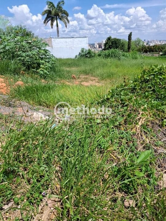 Terreno, 350 m² - Foto 6