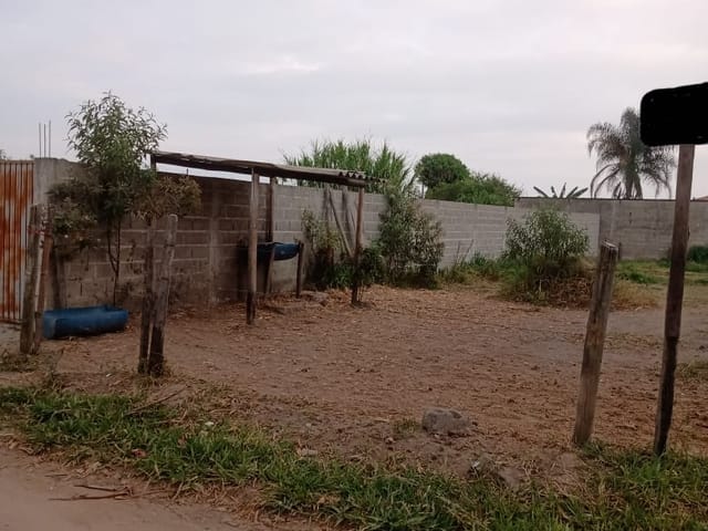 Terreno com 350m², à venda, no bairro Pedro Leme em Roseira