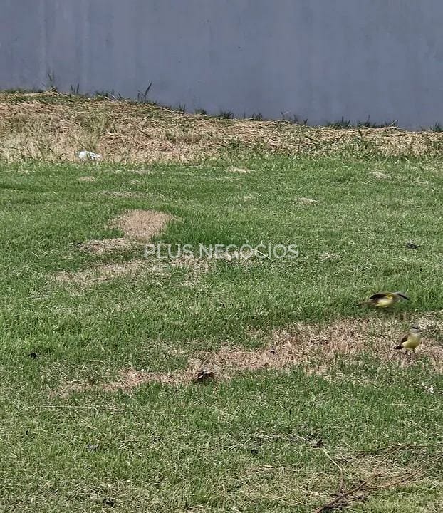 Terreno, 1000 m² - Foto 8