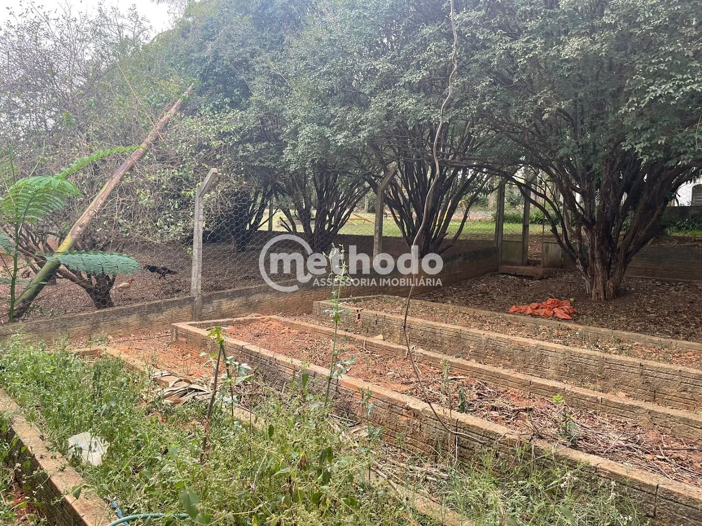 Terreno, 1032 m² - Foto 6