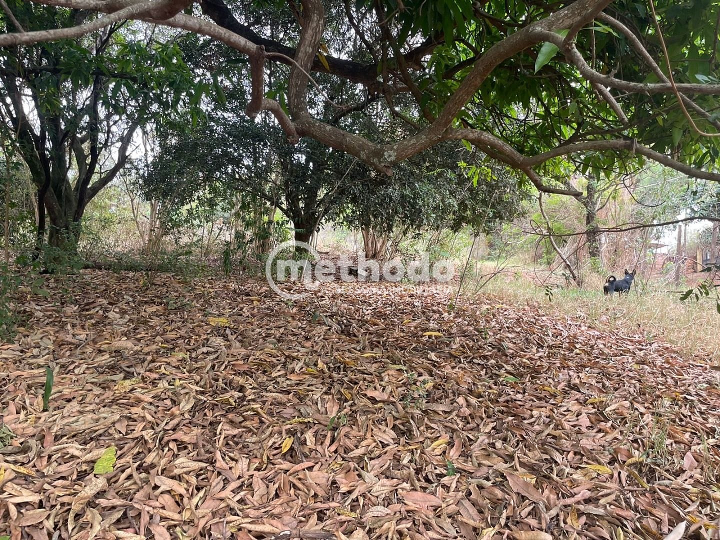 Terreno, 1032 m² - Foto 10