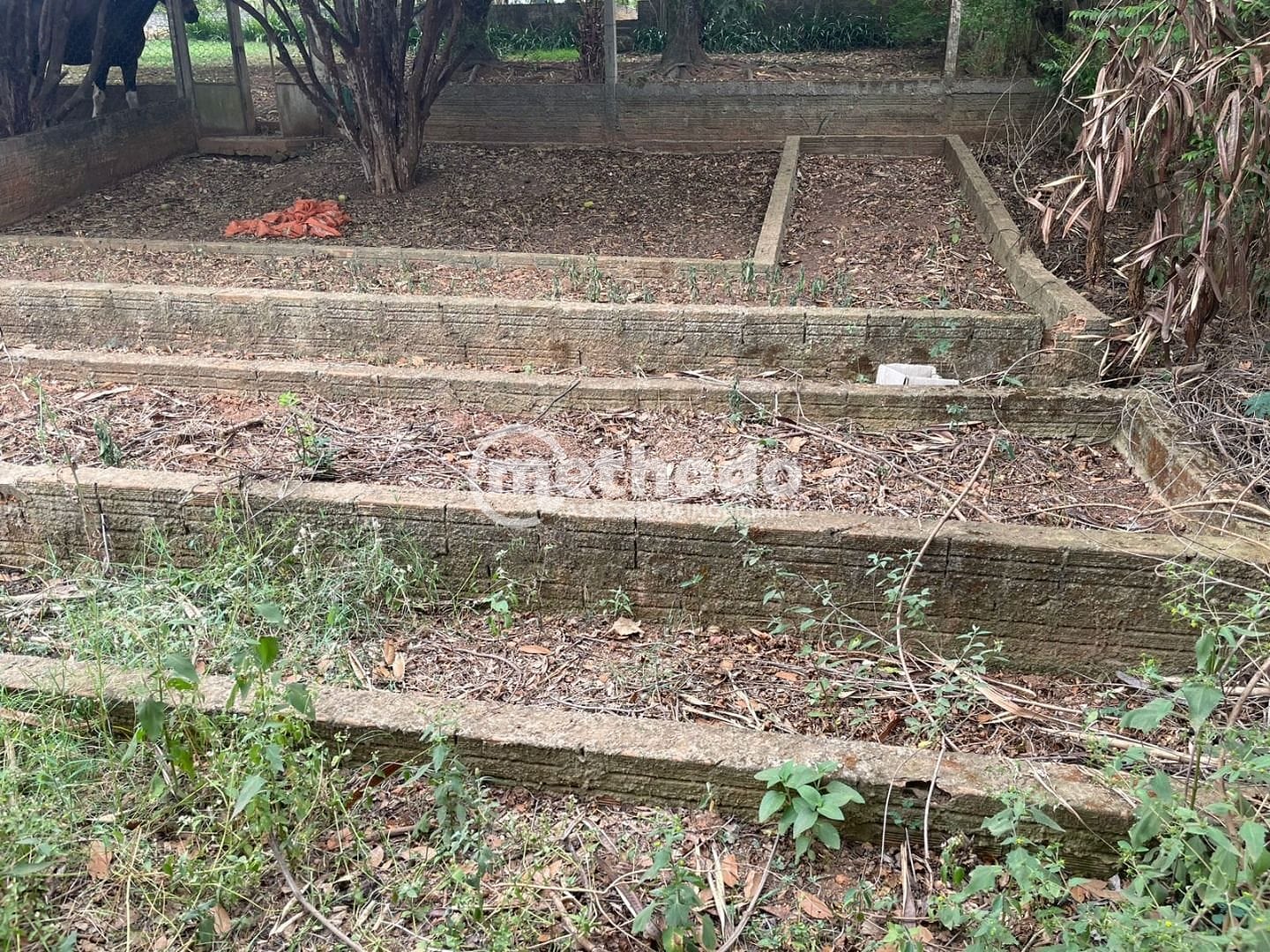 Terreno, 1032 m² - Foto 13