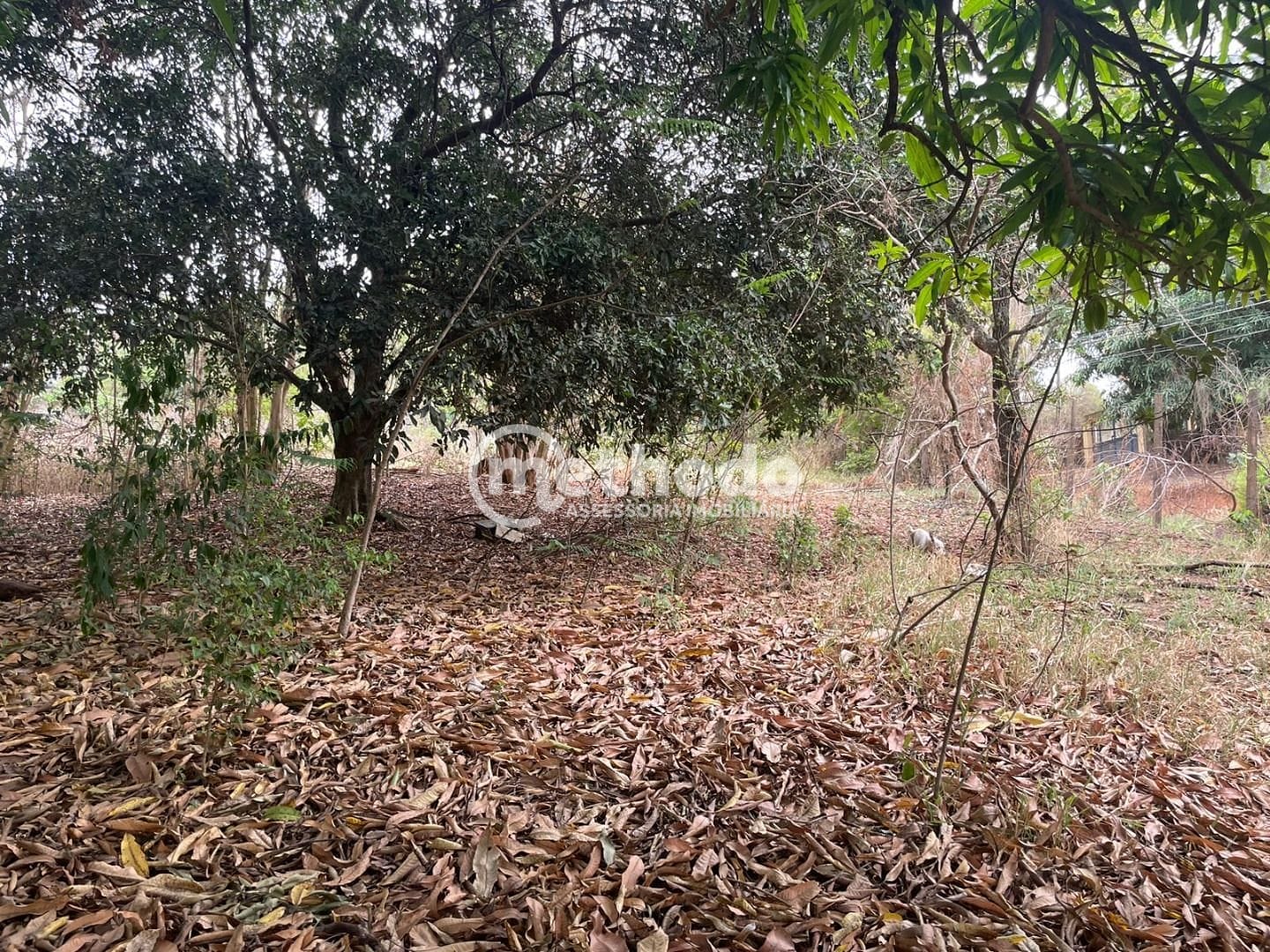 Terreno, 1032 m² - Foto 11