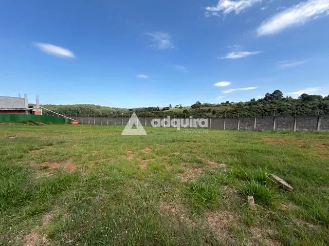 Terreno com 505m², à venda, no bairro Estrela em Ponta Grossa