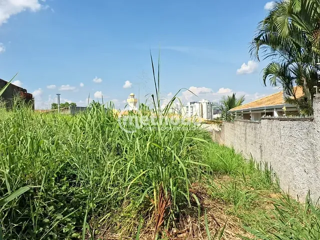 Terreno com 666m², à venda, no bairro Parque São Quirino em Campinas