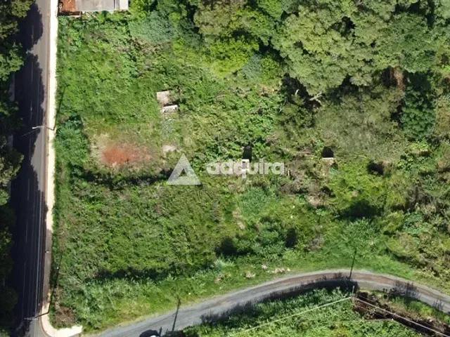 Terreno com 4324m², à venda, no bairro Colônia Dona Luíza em Ponta Grossa