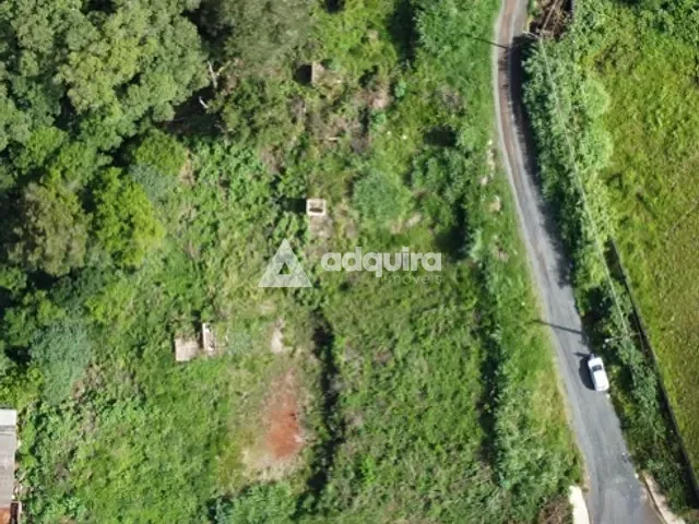 Terreno com 4324m², à venda, no bairro Colônia Dona Luíza em Ponta Grossa