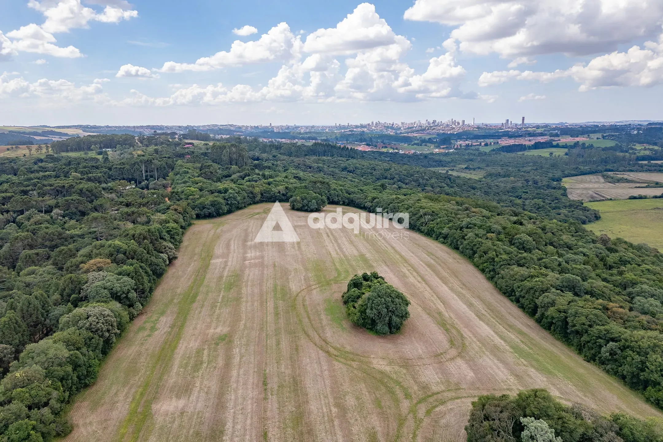 Terreno, 15 hectares - Foto 4