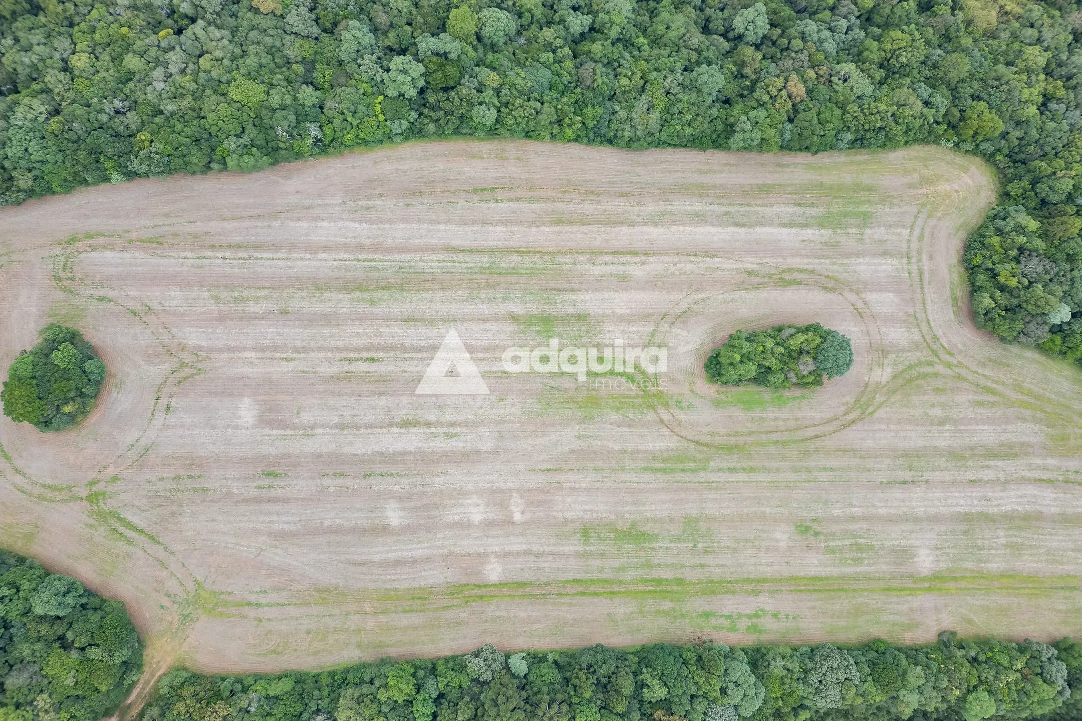 Terreno, 15 hectares - Foto 6
