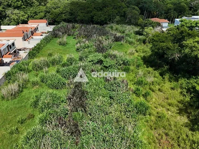 Terreno com 10000m², à venda, no bairro Colônia Dona Luíza em Ponta Grossa
