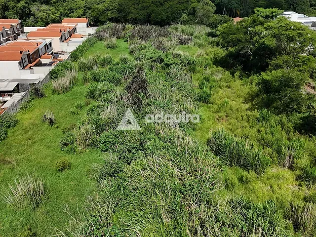 Terreno com 10000m², à venda, no bairro Colônia Dona Luíza em Ponta Grossa