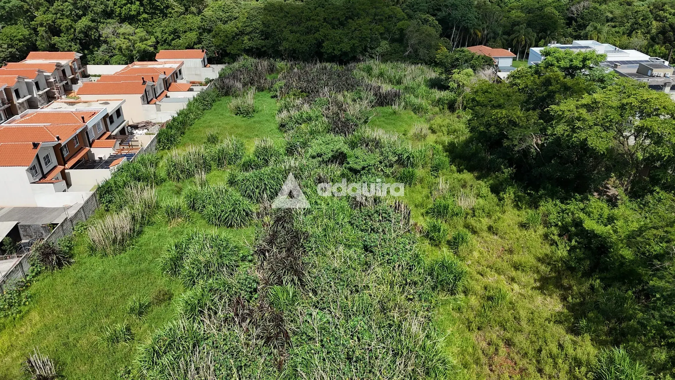 Terreno, 10000 m² - Foto 1