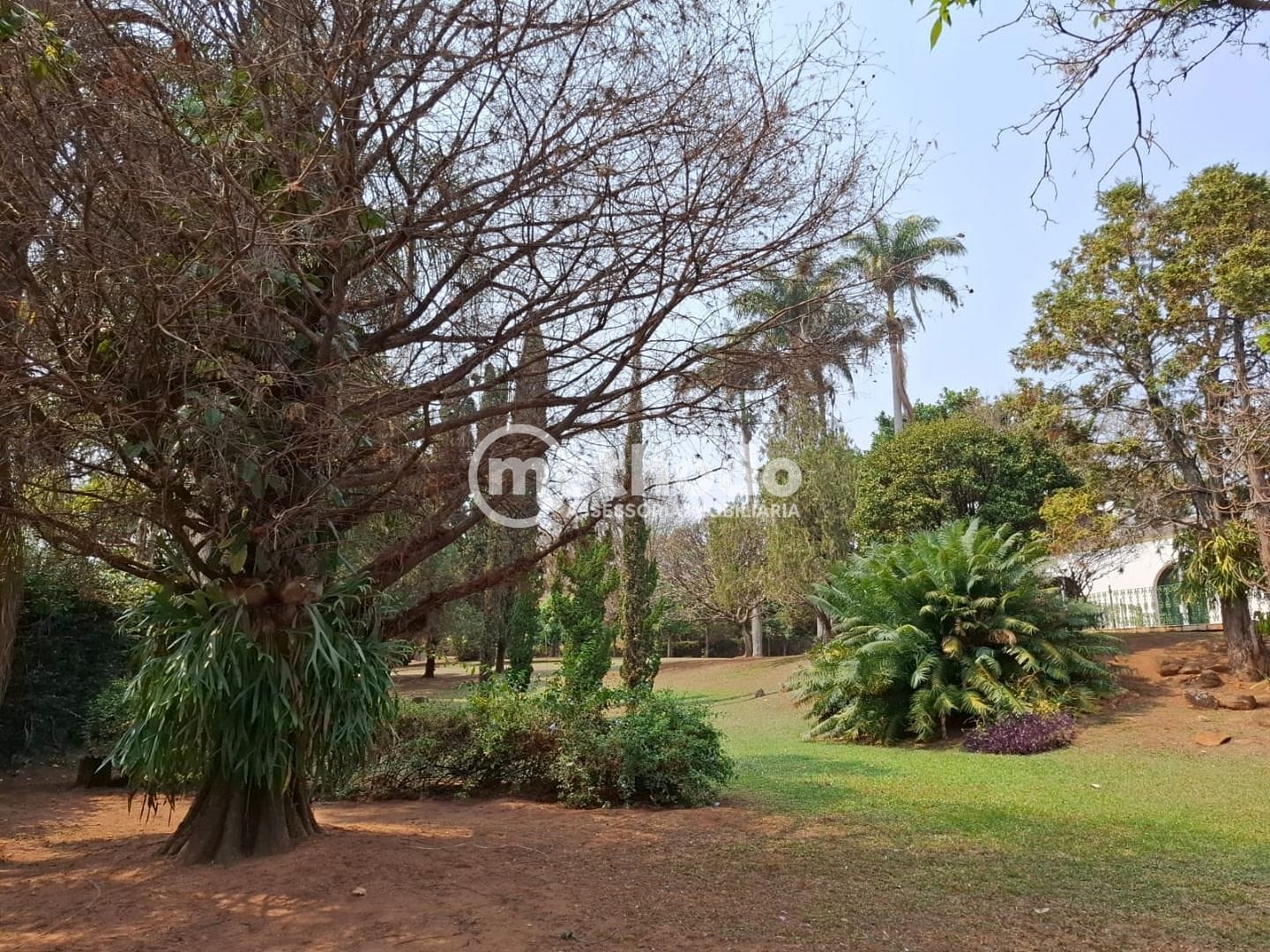 Terreno, 5086 m² - Foto 2