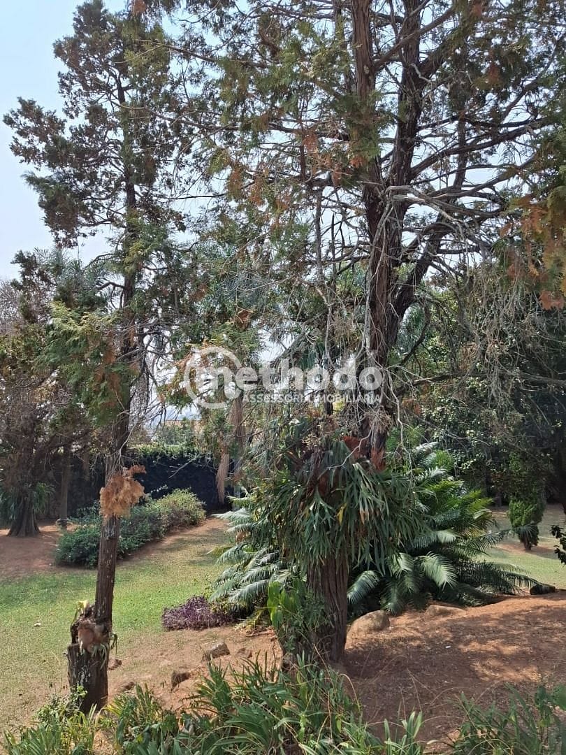 Terreno, 5086 m² - Foto 6